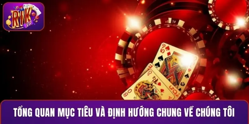 Tổng quan mục tiêu và định hướng chung về chúng tôi